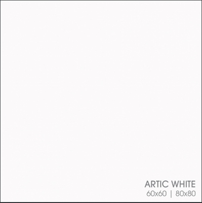 ARTIC WHITE 60X60 1SC LAPP/RETT PURE DELHI